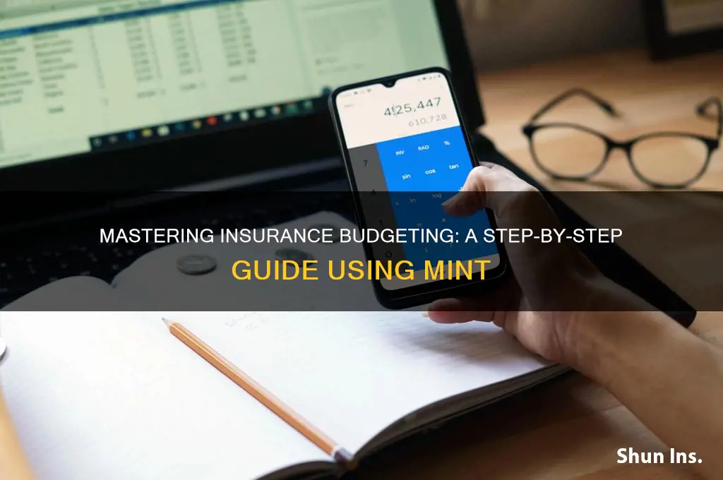 how to budget on mint for insurance