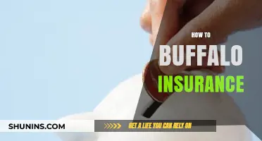 Mastering Buffalo Insurance: Essential Tips for Smart Coverage Choices