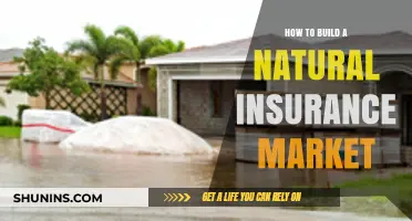 Creating a Sustainable Natural Insurance Market: Strategies for Success