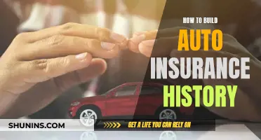 Building Auto Insurance History: Strategies for New Drivers