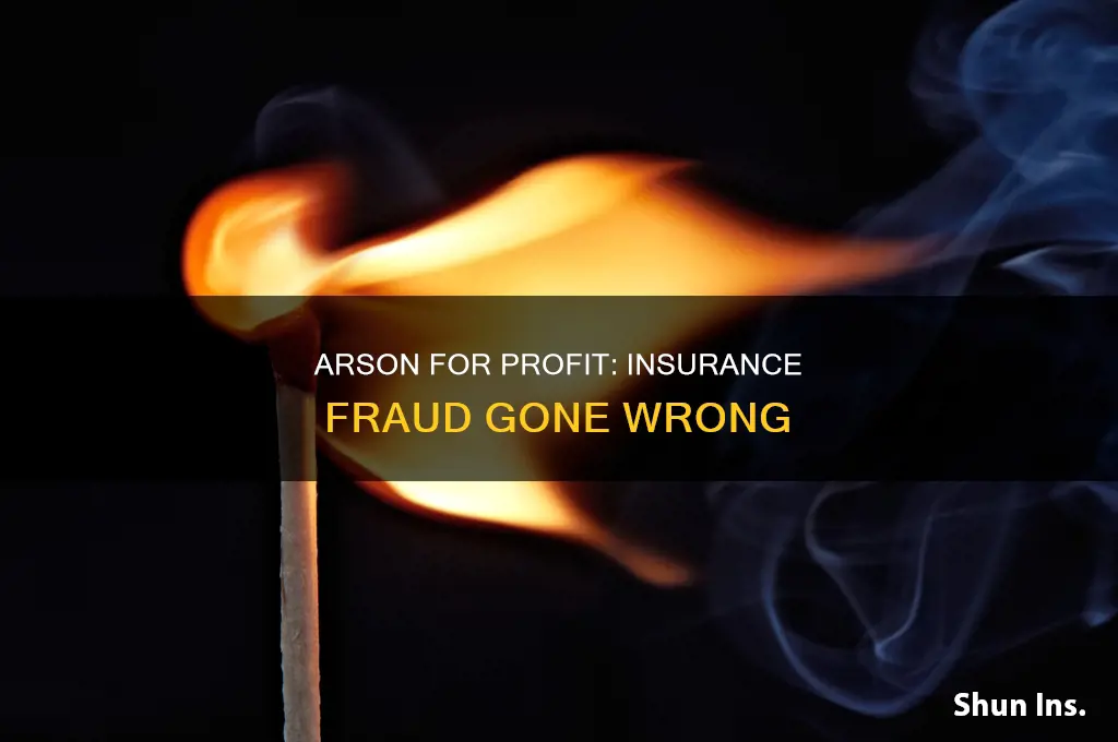 how to burn your house down for insurance money