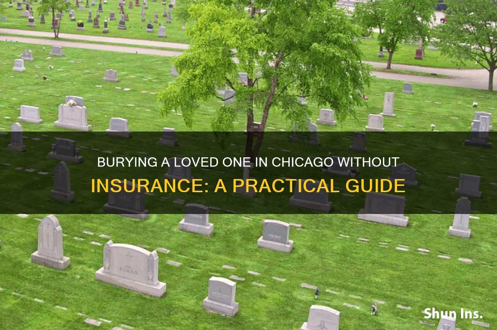 how to bury when one dies in chicago no insurance