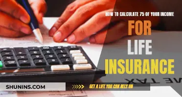 Calculating Your Income for Life Insurance Coverage