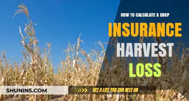 Calculating Crop Insurance Harvest Loss: A Step-by-Step Guide for Farmers