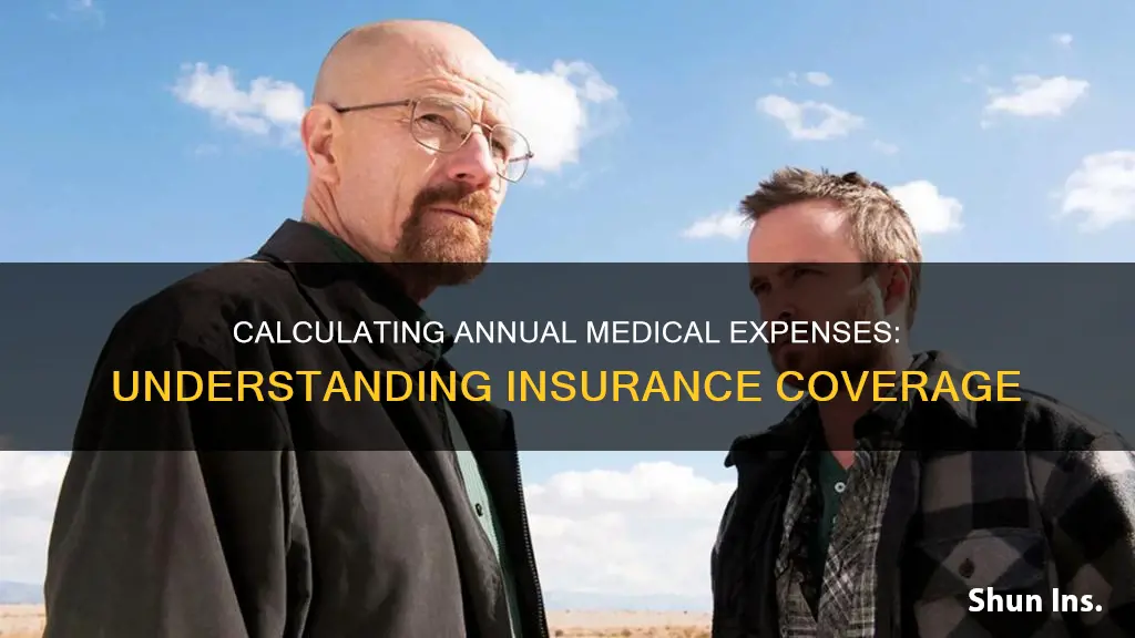 how to calculate annual medical expenses with an insurance plan