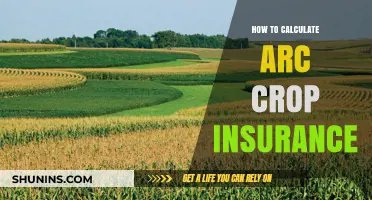 Mastering Arc Crop Insurance Calculations: A Step-by-Step Guide