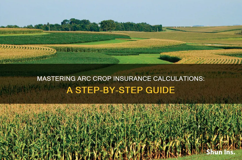 how to calculate arc crop insurance