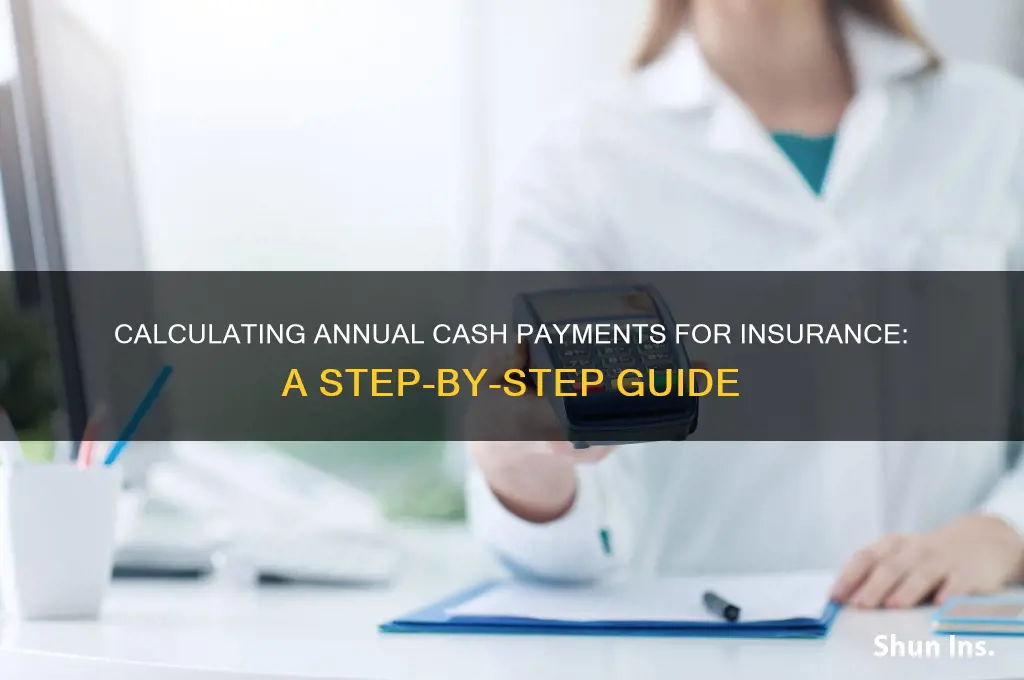 how to calculate cash paid for insurance during a year