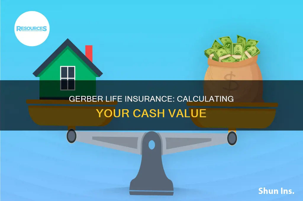 how to calculate cash value of gerber life insurance