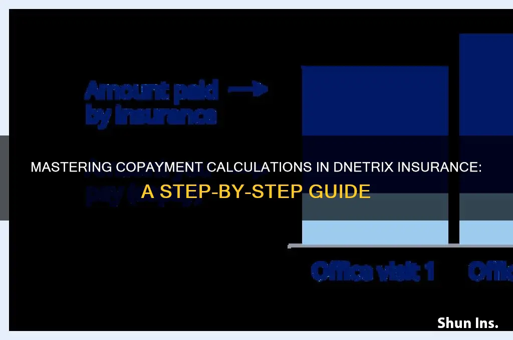 how to calculate copayment insurance in dnetrix