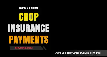 Calculating Crop Insurance Payments: A Guide for Farmers