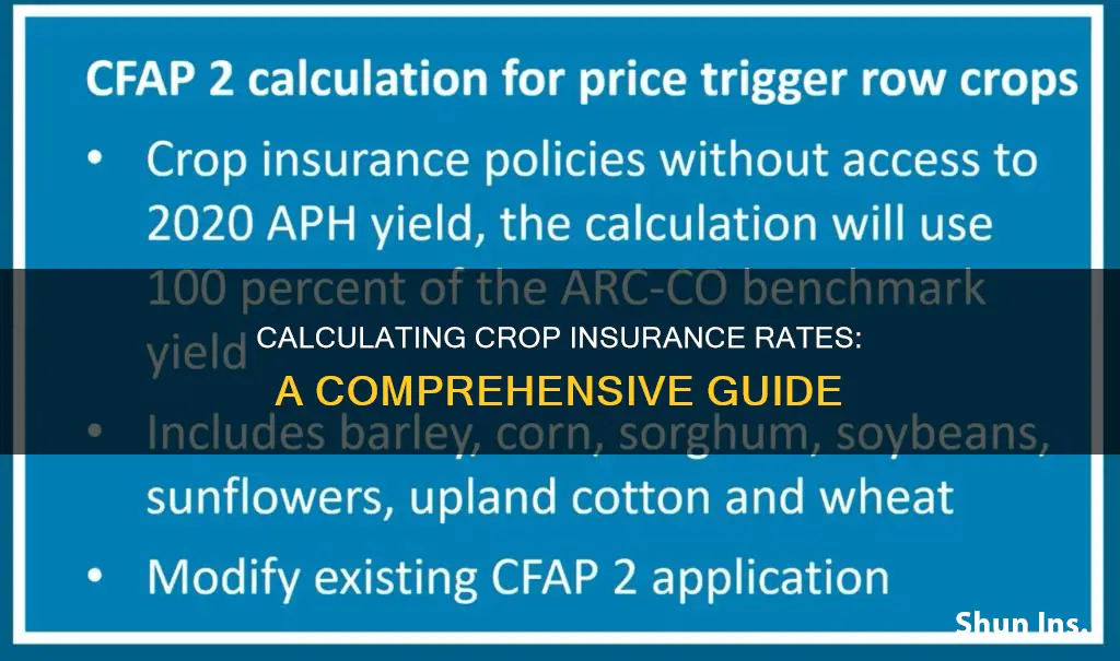 how to calculate crop insurance rates