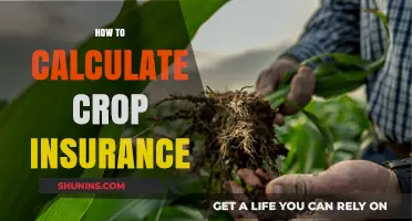 Mastering Crop Insurance Calculations: A Step-by-Step Guide for Farmers