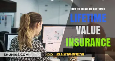 Calculating Customer Lifetime Value in Insurance: A Comprehensive Guide