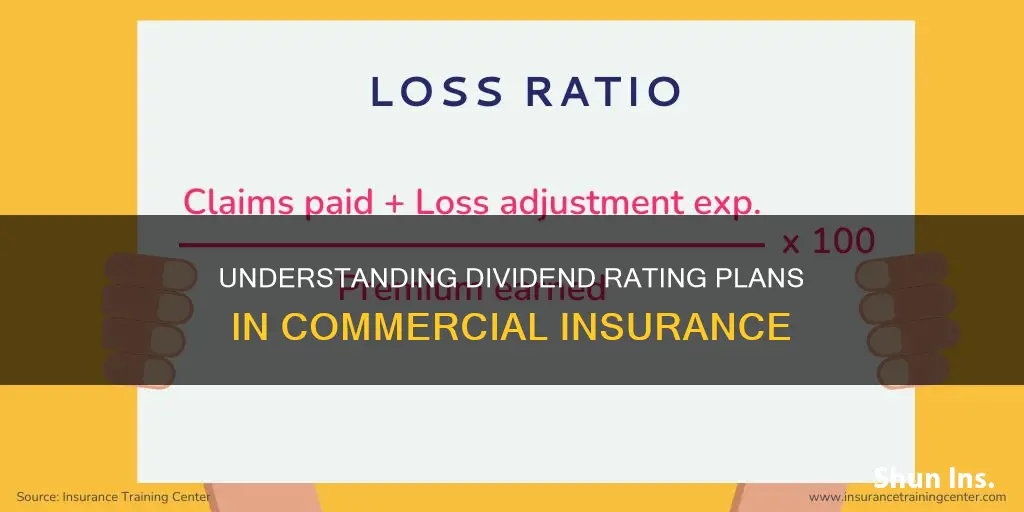 how to calculate dividend rating plansin sinsurance commercial insurance