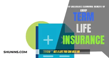 Calculating Group Term Life Insurance: Economic Benefits Explained