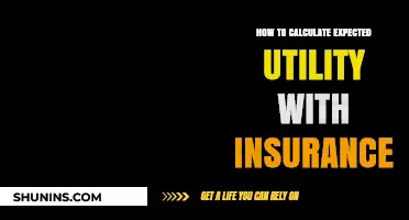 Calculating Expected Utility: A Guide to Insurance Decision-Making