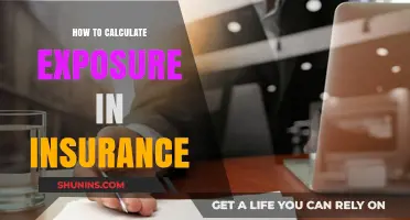 Mastering Insurance Exposure Calculation: A Comprehensive Step-by-Step Guide