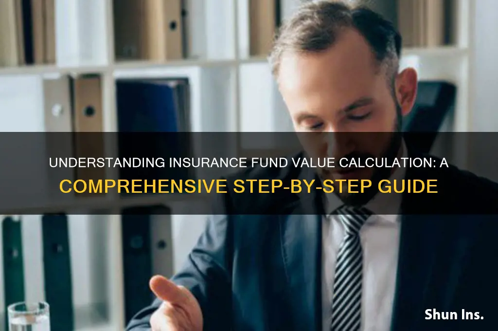 how to calculate fund value in insurance