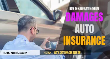 Understanding Auto Insurance: Calculating General Damages Claims