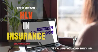 Understanding HLV Calculation: A Comprehensive Guide for Insurance Policyholders