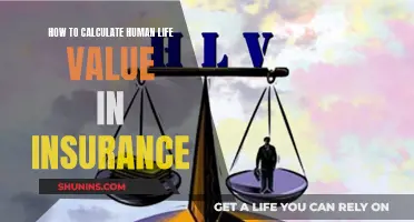 Calculating Human Life Value: Insurance Essentials