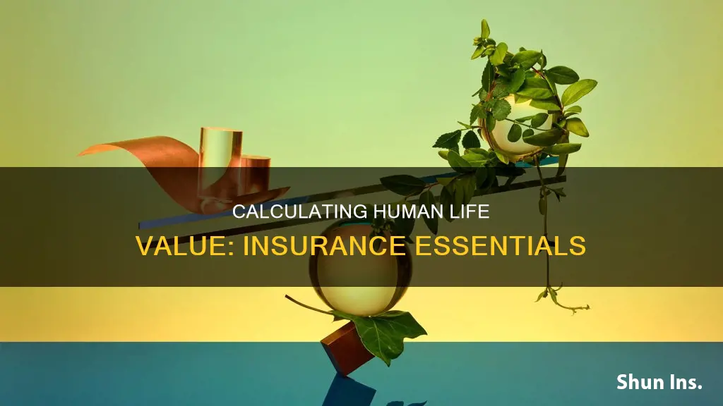 how to calculate human life value in insurance