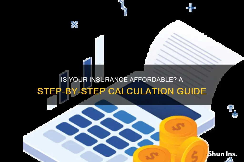 how to calculate if insurance is affordable