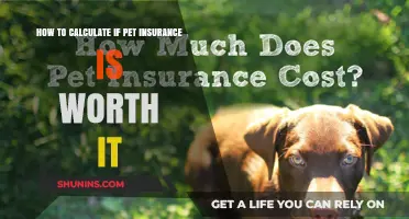 Pet Insurance: Is the Cost Really Worth the Coverage?