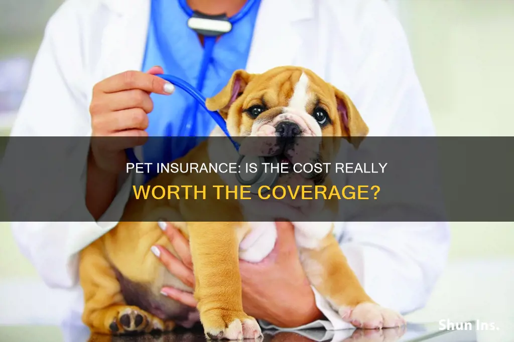 how to calculate if pet insurance is worth it