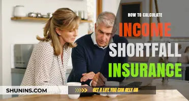 Understanding Income Shortfall Insurance: Calculation Guide for Financial Security