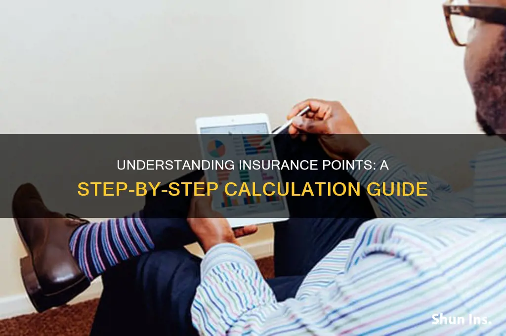 how to calculate insurance points