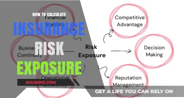 Calculating Insurance Risk Exposure: Strategies for Success