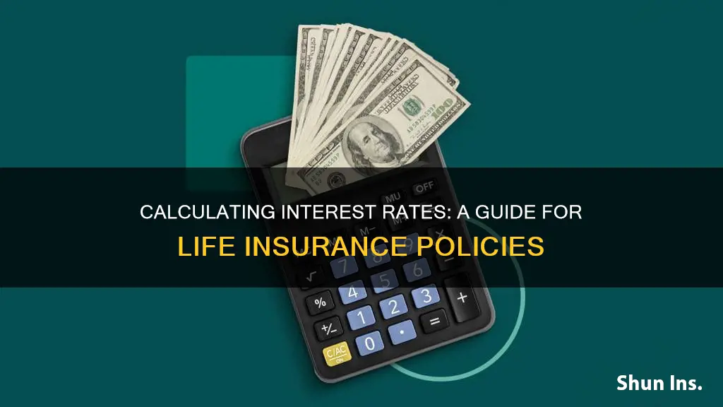 how to calculate interest rate for life insurance