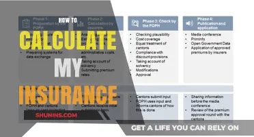 Mastering Insurance Calculations: A Step-by-Step Guide to Determine Your Premiums