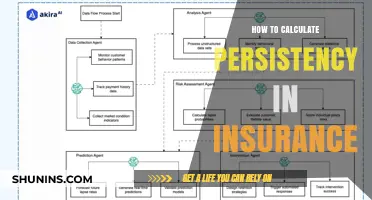 Mastering Persistency Calculation: A Comprehensive Guide for Insurance Professionals