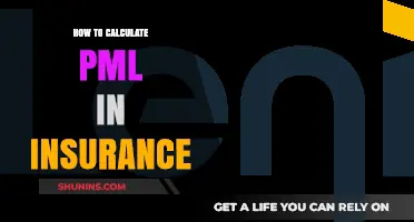 Understanding PML Calculation: A Comprehensive Guide for Insurance Professionals