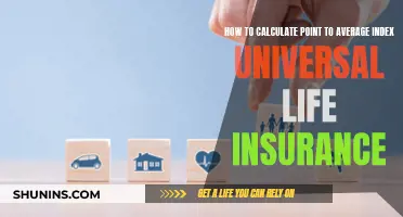 Calculating Point-to-Average Index: Universal Life Insurance Simplified