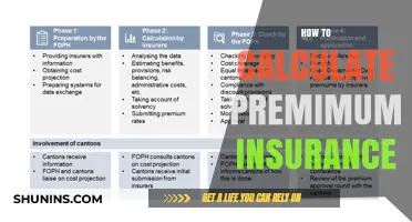 Mastering Premium Insurance Calculations: A Step-by-Step Guide