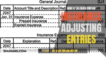 Understanding Prepaid Insurance Adjusting Entries: A Comprehensive Guide