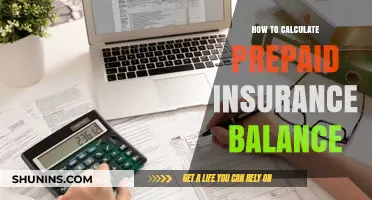 Mastering Prepaid Insurance: A Step-by-Step Balance Calculation Guide