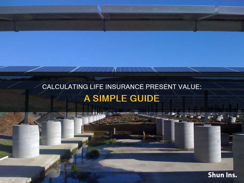 how to calculate present value of life insurance