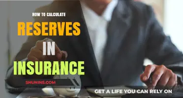Mastering Insurance Reserves: A Step-by-Step Calculation Guide