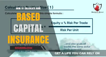 Calculating Risk-Based Capital: Insurance Essentials