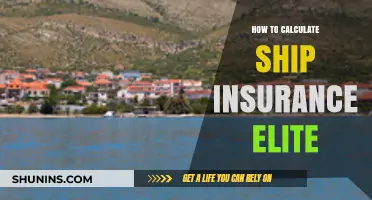 Mastering Ship Insurance Elite: Calculation Tips for Optimal Coverage