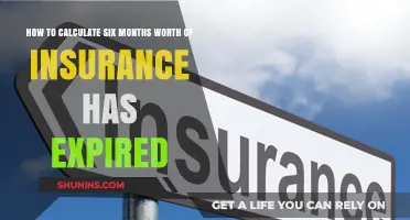 Insurance Expiry: Calculating Six-Month Policies