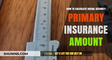 Understanding Your Social Security Primary Insurance Amount Calculation