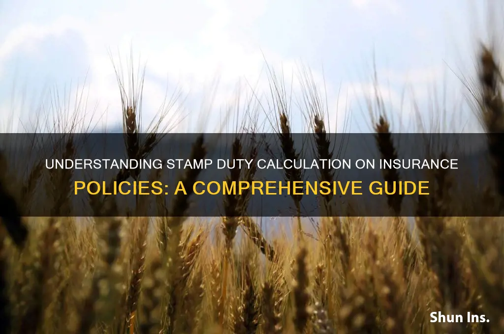 how to calculate stamp duty on insurance