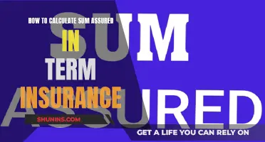 Understanding the Art of Calculating Sum Assured in Term Insurance