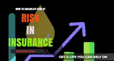 Calculating Sum at Risk: A Guide to Insurance Claims
